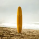 La fabrication d’une planche de surf : artisanat et innovation